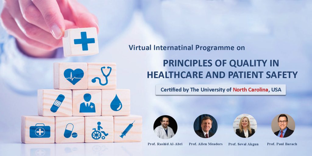 Virtual International Program